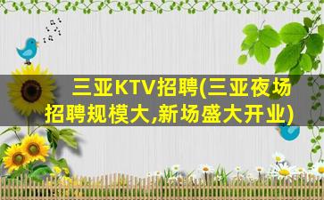 三亚KTV招聘(三亚夜场招聘规模大,新场盛大开业)